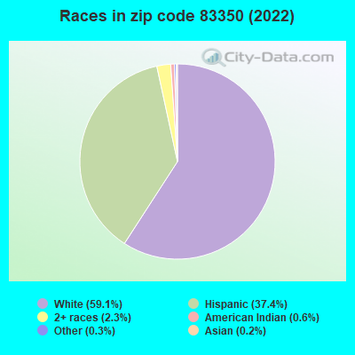 Races in zip code 83350 (2019)