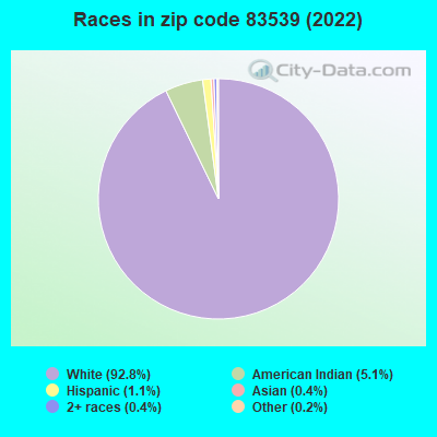 Races in zip code 83539 (2019)