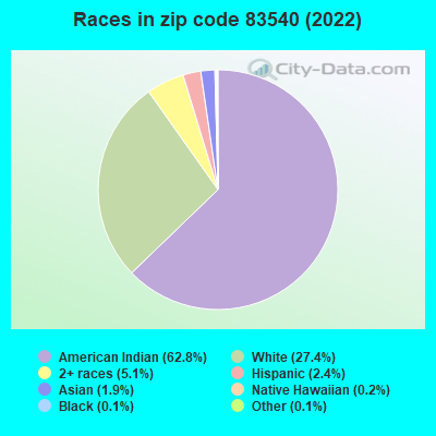 Races in zip code 83540 (2022)