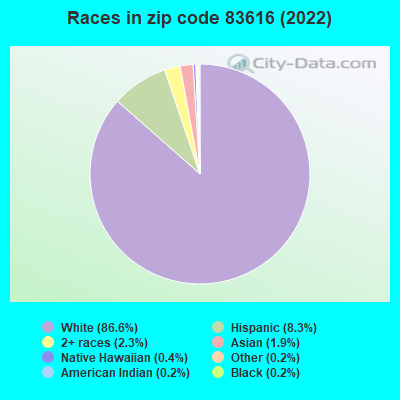 Races in zip code 83616 (2022)