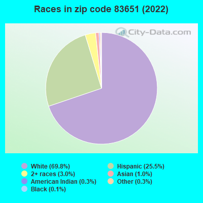Races in zip code 83651 (2019)