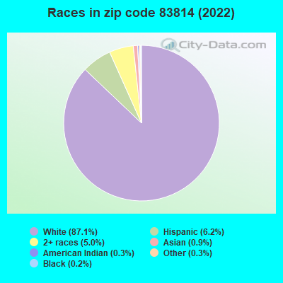 Races in zip code 83814 (2019)