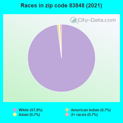 Races in zip code 83848 (2019)