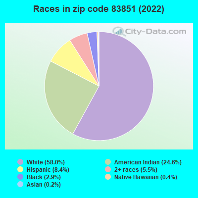 Races in zip code 83851 (2019)