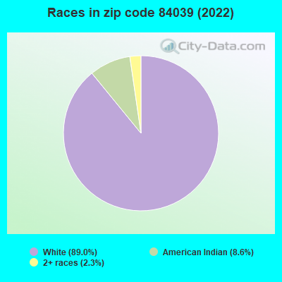 Races in zip code 84039 (2022)