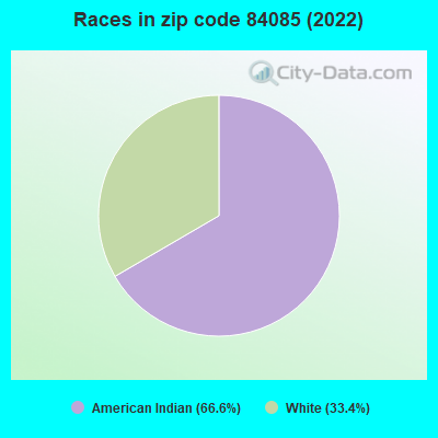 Races in zip code 84085 (2022)