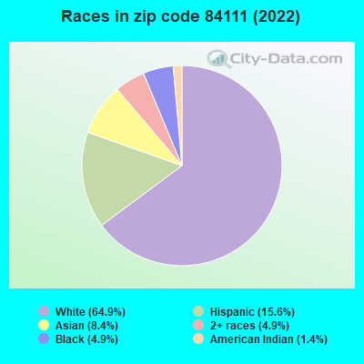 Races in zip code 84111 (2021)