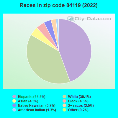 Races in zip code 84119 (2019)