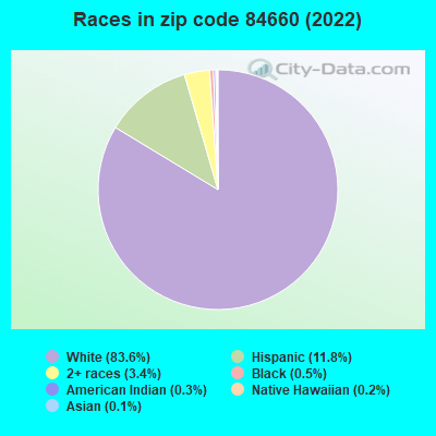 Races in zip code 84660 (2021)
