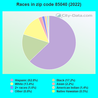 Races in zip code 85040 (2019)