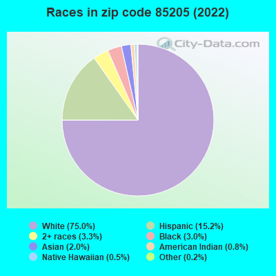Races in zip code 85205 (2019)