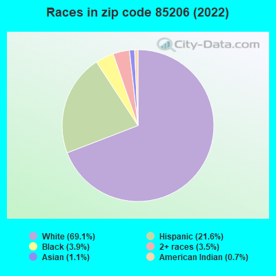 Races in zip code 85206 (2021)