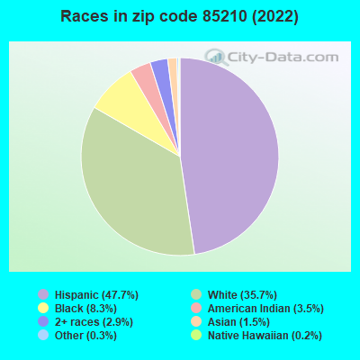 Races in zip code 85210 (2019)