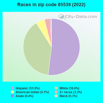 Races in zip code 85539 (2019)
