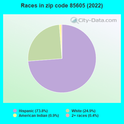 Races in zip code 85605 (2022)