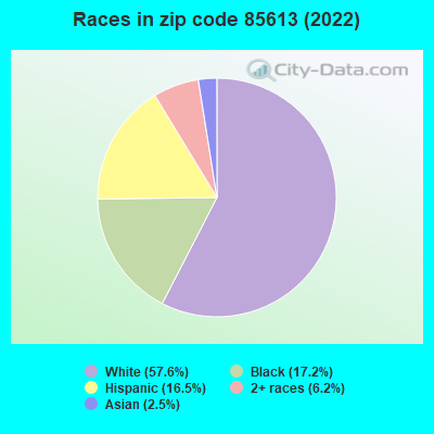 Races in zip code 85613 (2022)