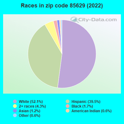 Races in zip code 85629 (2022)