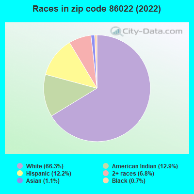 Races in zip code 86022 (2019)