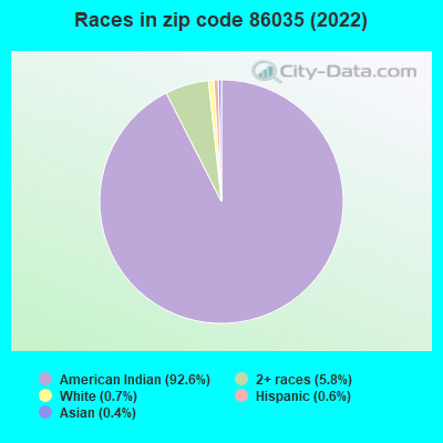 Races in zip code 86035 (2022)