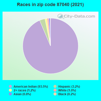 Races in zip code 87040 (2019)