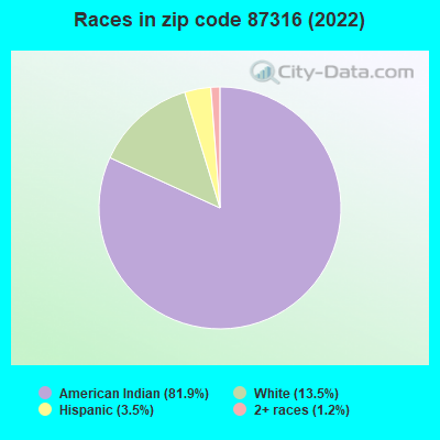 Races in zip code 87316 (2019)