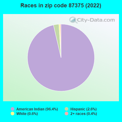 Races in zip code 87375 (2022)