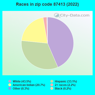 Races in zip code 87413 (2019)