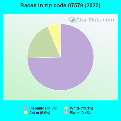 Races in zip code 87579 (2022)
