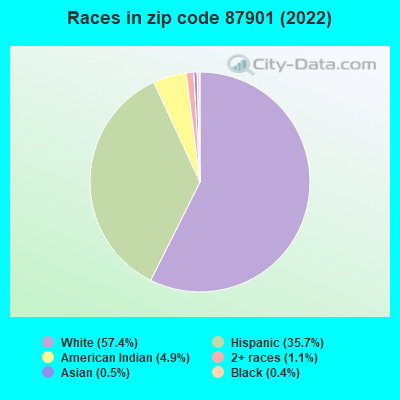 Races in zip code 87901 (2019)