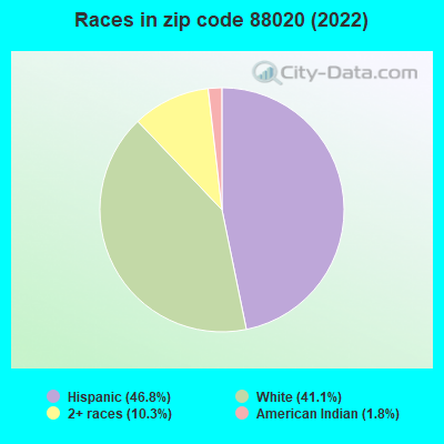 Races in zip code 88020 (2022)