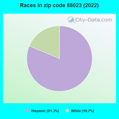 Races in zip code 88023 (2019)