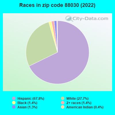 Races in zip code 88030 (2019)