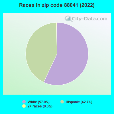 Races in zip code 88041 (2019)