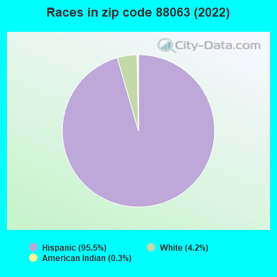 Races in zip code 88063 (2022)