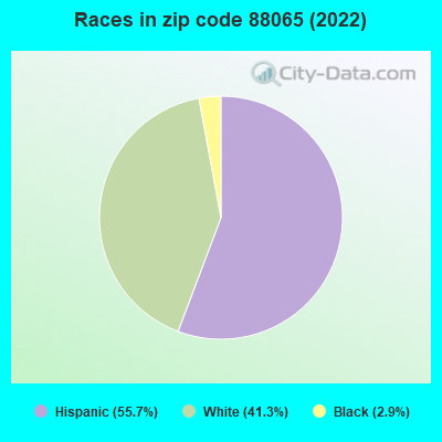 Races in zip code 88065 (2022)