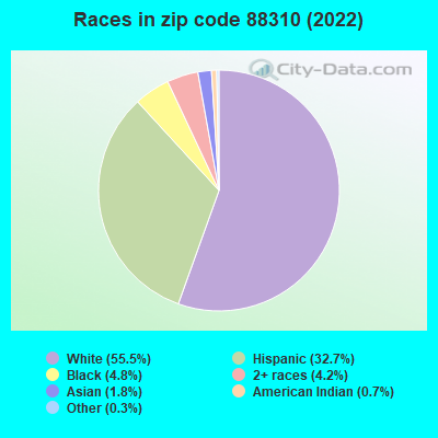 Races in zip code 88310 (2019)