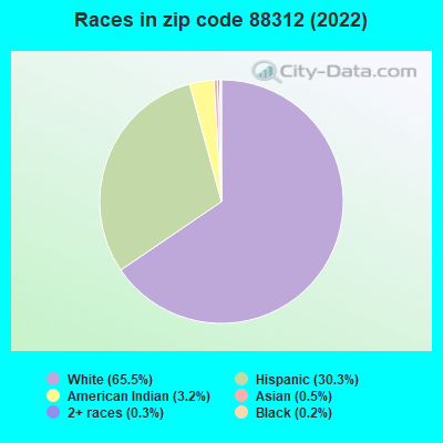 Races in zip code 88312 (2019)