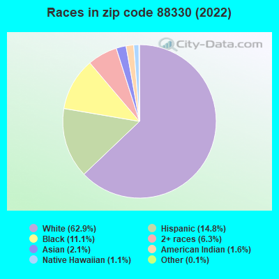 Races in zip code 88330 (2019)