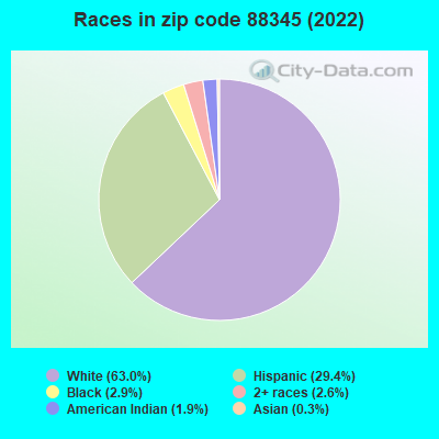 Races in zip code 88345 (2019)