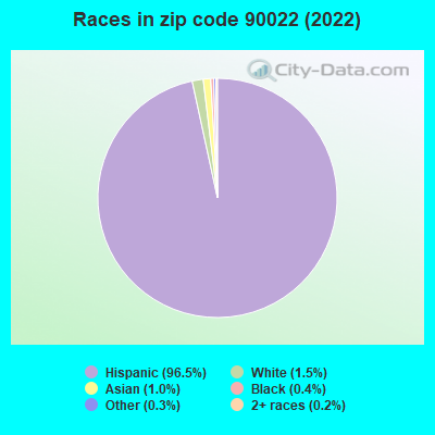 Races in zip code 90022 (2021)