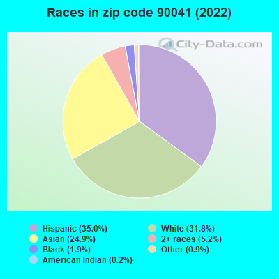 Races in zip code 90041 (2021)