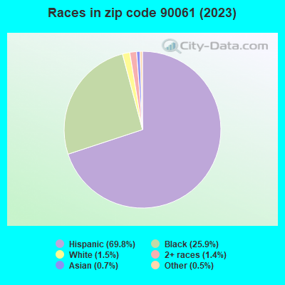 Races in zip code 90061 (2019)