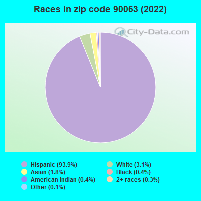 Races in zip code 90063 (2019)