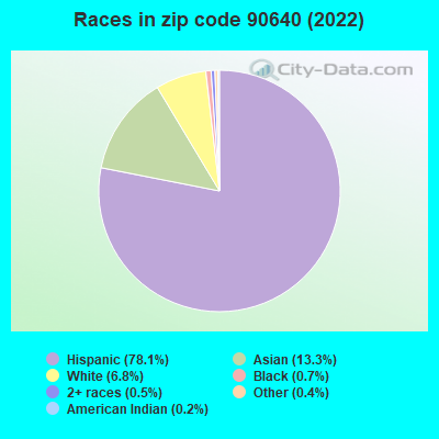Races in zip code 90640 (2019)
