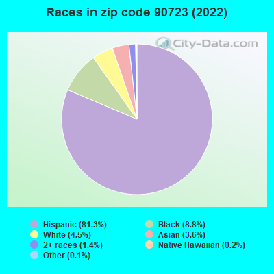 Races in zip code 90723 (2022)