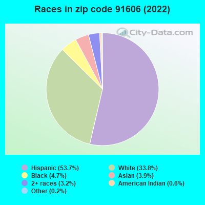 Races in zip code 91606 (2019)