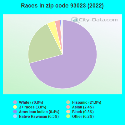 Races in zip code 93023 (2021)