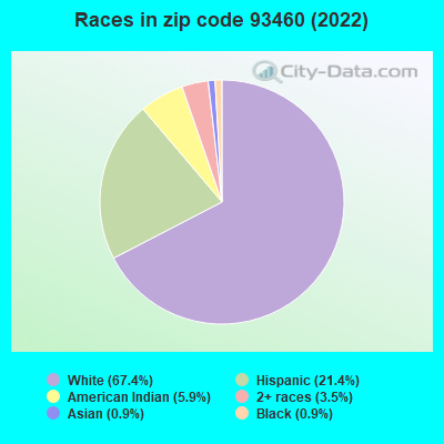 Races in zip code 93460 (2022)