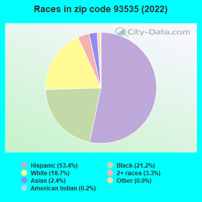 Races in zip code 93535 (2019)
