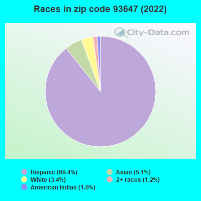 Races in zip code 93647 (2019)